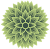 detail-flower-ofbrwdhd4zmra1a5ln8bjcw4z7f6qpqlkpo28s8h5g